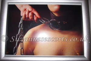 Domination Dog Chain